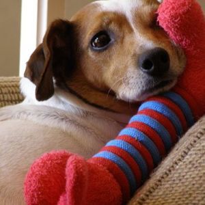 Meet your Posher, Janine